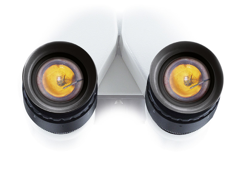 Leica W(xu)