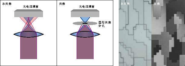⹲W(xu)ϵy